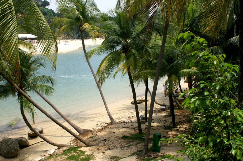 5 praias secretas de SP para conhecer no verão nas próximas férias tropical 264540 1920 1024x681 1 - 5 praias secretas de SP para conhecer no verão nas próximas férias